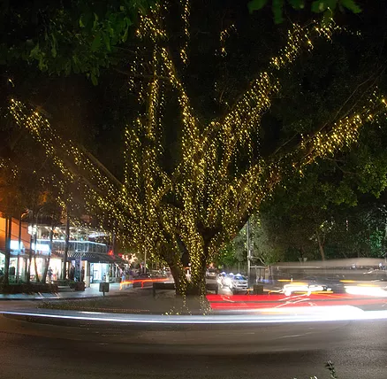 The Sunshine Coast Tour Company - New South Wales Tourism  2