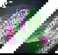 Christmas Cactus - 65 Northbourne 7.30-9.30pm - New South Wales Tourism 