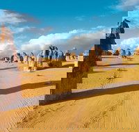 Pinnacles Desert Koalas and Sandboarding 4WD Day Tour from Perth - New South Wales Tourism 