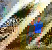 Rottnest Island Full-Day Trip With Guided Island Tour From Perth - New South Wales Tourism 