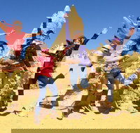 Pinnacles and Swan Valley Day Trip from Perth Including Caversham Wildlife Park Vineyard Lunch Pinnacles and Sandboarding - New South Wales Tourism 