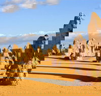 Pinnacles and Yanchep National Park Day Trip from Perth Including Lobster Shack Lunch and Sandboarding - New South Wales Tourism 