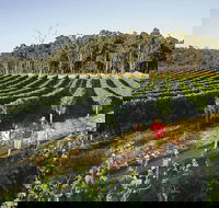 Margaret River Caves Wine and Cape Leeuwin Lighthouse Tour from Perth - New South Wales Tourism 