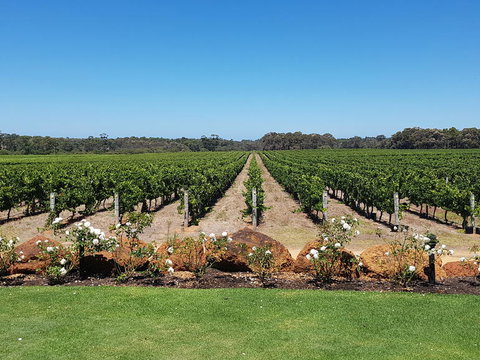 Margaret River Food, Wine & Sightseeing Tour From Perth - New South Wales Tourism  5