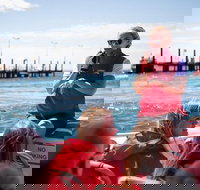 Rottnest Island Tour from Perth or Fremantle including Adventure Speed Boat Ride - New South Wales Tourism 