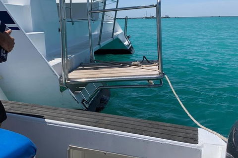 Snubfin Dolphin Eco Cruise From Broome - New South Wales Tourism  15