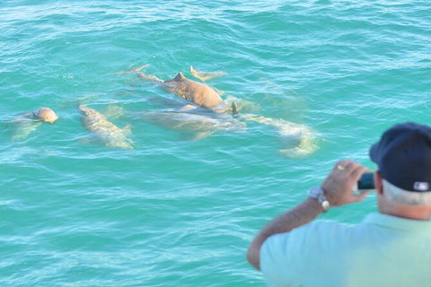 Snubfin Dolphin Eco Cruise From Broome - New South Wales Tourism  3