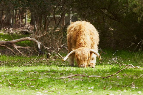 Private Custom Margaret River Tour - New South Wales Tourism  21