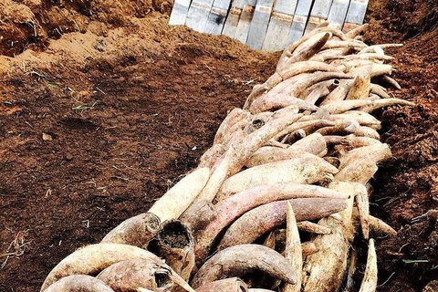 Private Custom Margaret River Tour - New South Wales Tourism  12