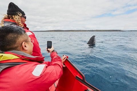 Private Custom Margaret River Tour - New South Wales Tourism  16