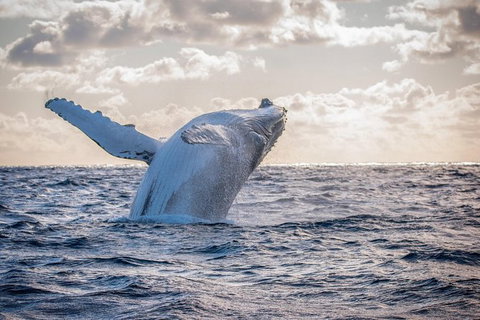 Private Custom Margaret River Tour - New South Wales Tourism  18