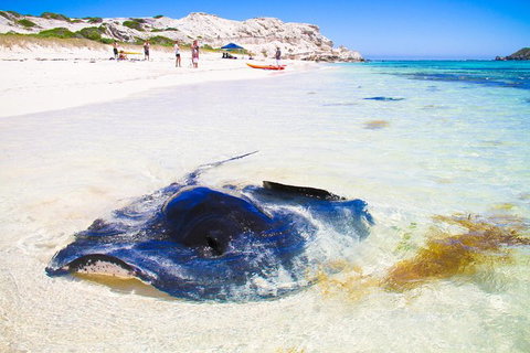 Private Custom Margaret River Tour - New South Wales Tourism  2