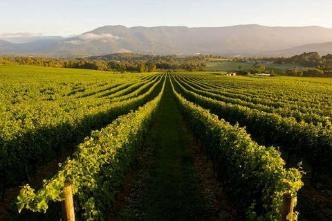 Full-Day Perth, Fremantle, Swan Valley Brewery - New South Wales Tourism  1