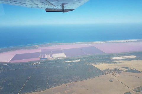 Monkey Mia Dolphins & Shark Bay Air Tour From Perth - New South Wales Tourism  6