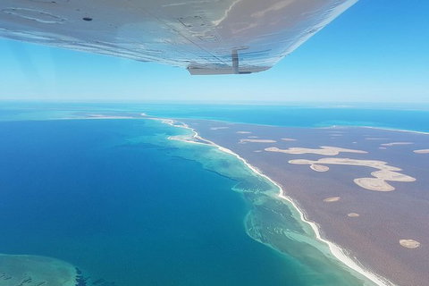 Monkey Mia Dolphins & Shark Bay Air Tour From Perth - New South Wales Tourism  3