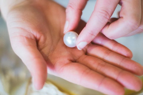 Harvest Your Own Pearl Private Experience - Perth - New South Wales Tourism  5