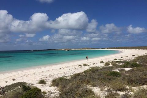Abrolhos Island Half Day Fly And Flipper - New South Wales Tourism  0