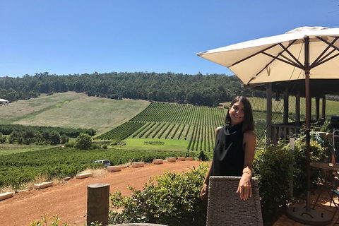 Small-Group Bickley Valley Wine Tour - New South Wales Tourism  0