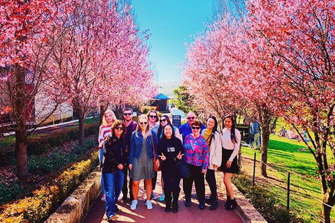 Small-Group Bickley Valley Wine Tour - New South Wales Tourism  10