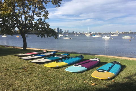Stand Up Paddle Boarding - 2 Person Lesson - 1 Hour - New South Wales Tourism  0