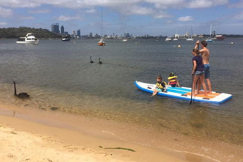 Stand Up Paddle Boarding - 2 Person Lesson - 1 Hour - New South Wales Tourism  8