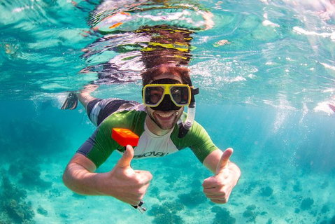 Swim With Whale Sharks- The Largest Fish In The World! - New South Wales Tourism  23