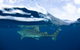Swim With Whale Sharks- The Largest Fish In The World! - thumb 17