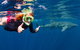 Swim With Whale Sharks- The Largest Fish In The World! - thumb 2