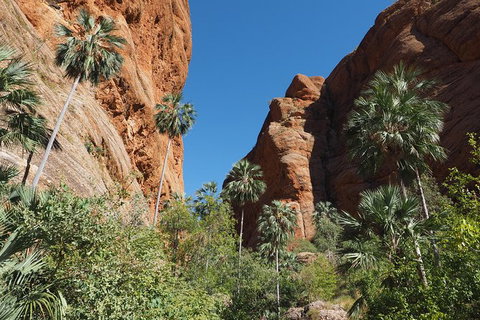 13-Day Kimberley Walking Tour Including Spectacular Gorges The Gibb River Road And The Bungle Bungles - New South Wales Tourism  6