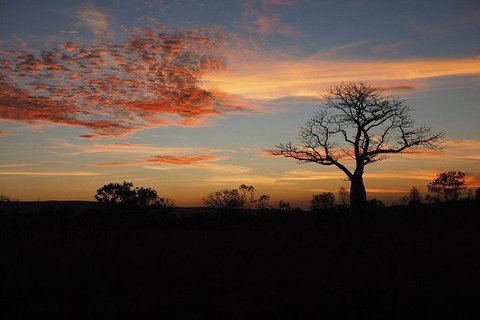 13-Day Kimberley Walking Tour Including Spectacular Gorges The Gibb River Road And The Bungle Bungles - New South Wales Tourism  4