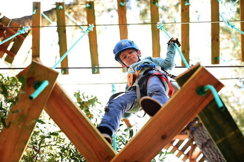 Trees Adventure Lane Poole Park - Treetop & Zipline Experience - New South Wales Tourism  1