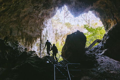 Mammoth Cave Self-guided Audio Tour - New South Wales Tourism  1