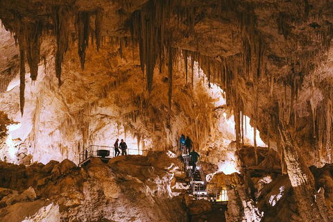 Mammoth Cave Self-guided Audio Tour - New South Wales Tourism  0