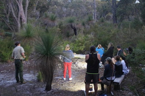 Nocturnal Wildlife Tour From Busselton Or Dunsborough - New South Wales Tourism  5