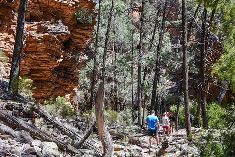 9-Day Perth To Adelaide Adventure Tour - New South Wales Tourism  15