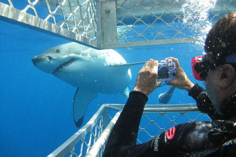 9-Day Perth To Adelaide Adventure Tour - New South Wales Tourism  5