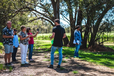 Upper Reach Winery: Swan Valley Winery And Vineyard Tour - New South Wales Tourism  8