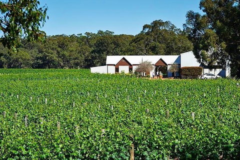 Upper Reach Winery: Swan Valley Winery And Vineyard Tour - New South Wales Tourism  2