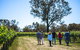 Upper Reach Winery: Swan Valley Winery And Vineyard Tour - thumb 3
