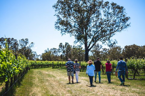 Upper Reach Winery: Swan Valley Winery And Vineyard Tour - New South Wales Tourism  3
