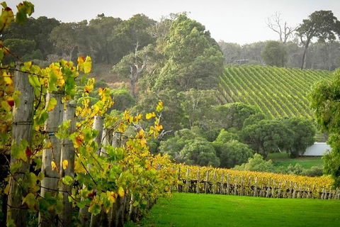 Half-Day Swan Valley & Wildlife Park Tour - New South Wales Tourism  2