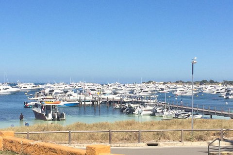 Rottnest Island ECO E Bike Tour - New South Wales Tourism  6