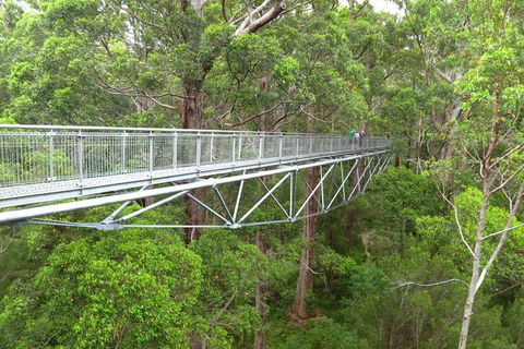 Albany Southwest Wilderness Day Tour - Fly From Perth - New South Wales Tourism  0