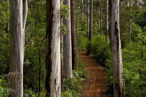 Albany Southwest Wilderness Day Tour - Fly From Perth - New South Wales Tourism  6