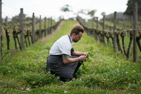 Vasse Felix Epicurean Tour And Tasting Experience With 5 Course Lunch - New South Wales Tourism  9