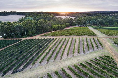Vasse Felix Epicurean Tour And Tasting Experience With 5 Course Lunch - New South Wales Tourism  7