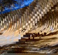 The Big Wave Rock Private Day Tour - New South Wales Tourism 
