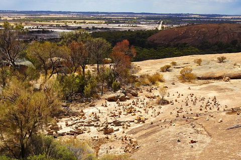 The Big Wave Rock (Private) Day Tour - New South Wales Tourism  10