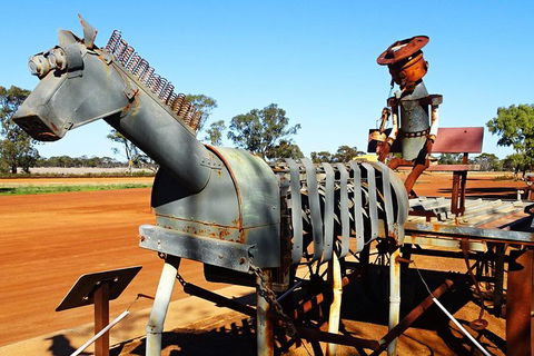 The Big Wave Rock (Private) Day Tour - New South Wales Tourism  14