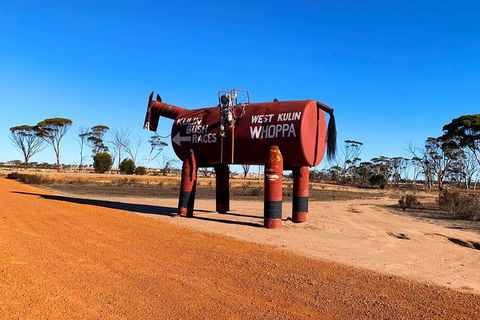 The Big Wave Rock (Private) Day Tour - New South Wales Tourism  12